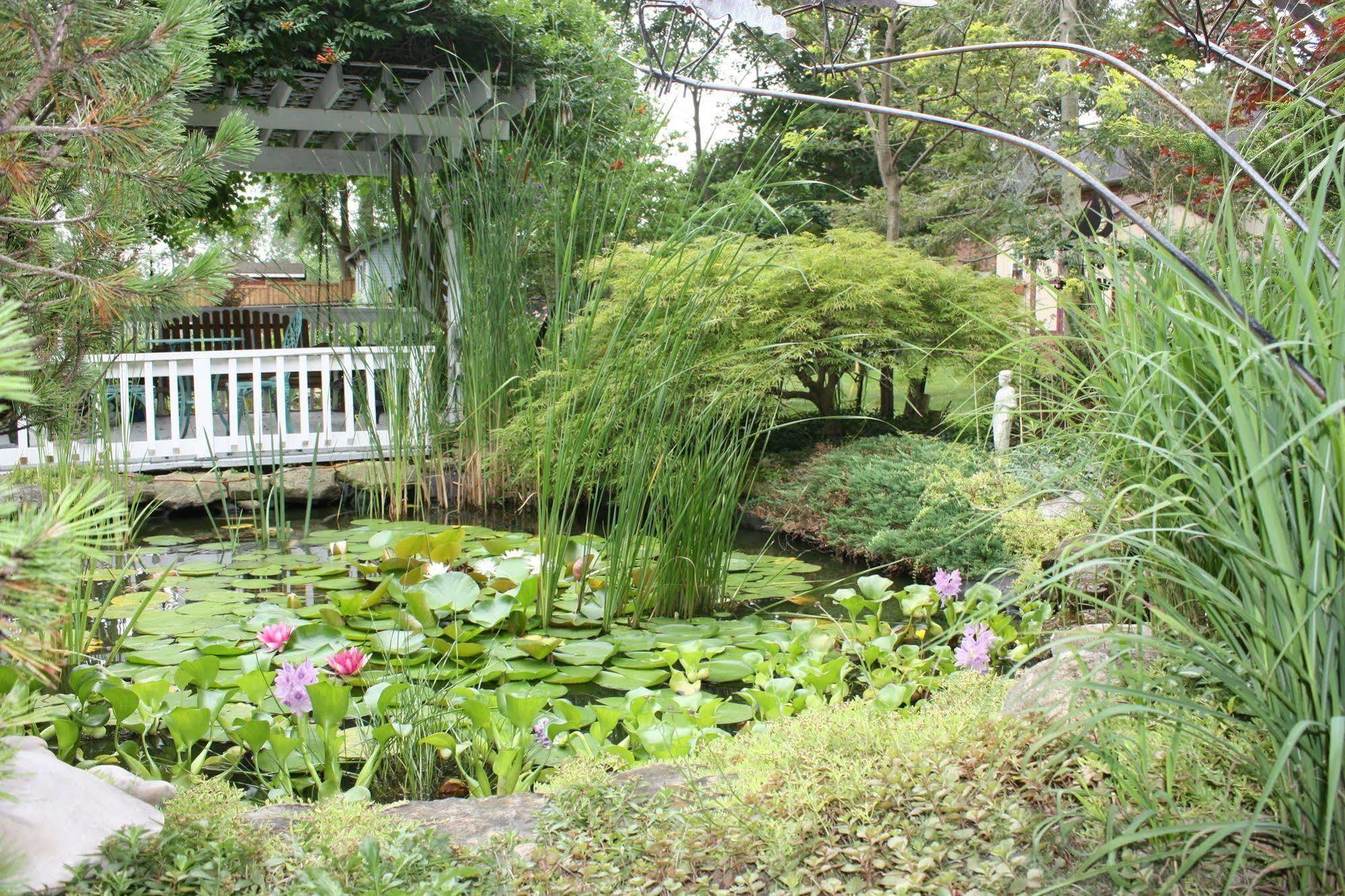 Carrousel Bed & Breakfast Cayuga Ngoại thất bức ảnh